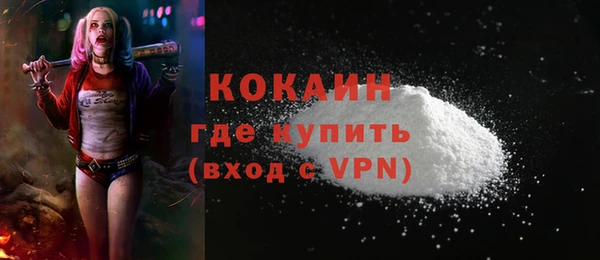 трава Новозыбков