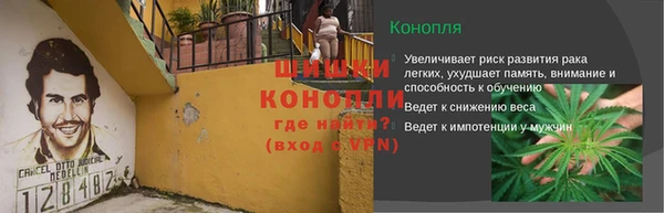 крисы Медногорск