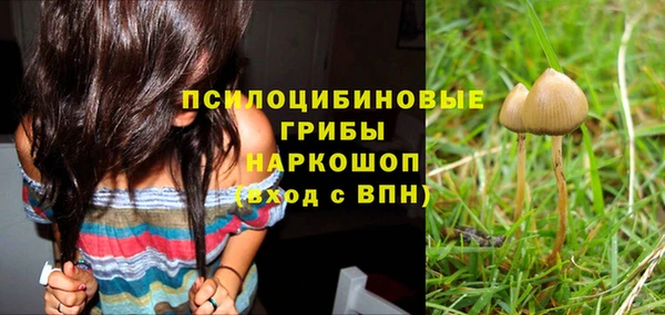 ешки Михайлов