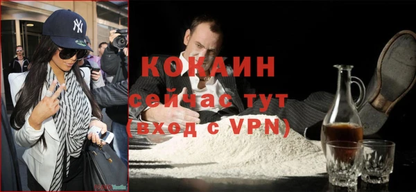 индика Няндома