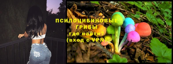 крисы Медногорск