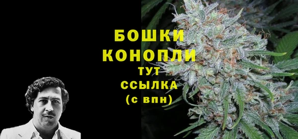 mdpv Медвежьегорск