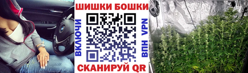 kraken онион  купить наркотики цена  Черкесск  Шишки марихуана гибрид 